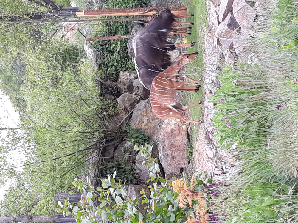 20190515_105626