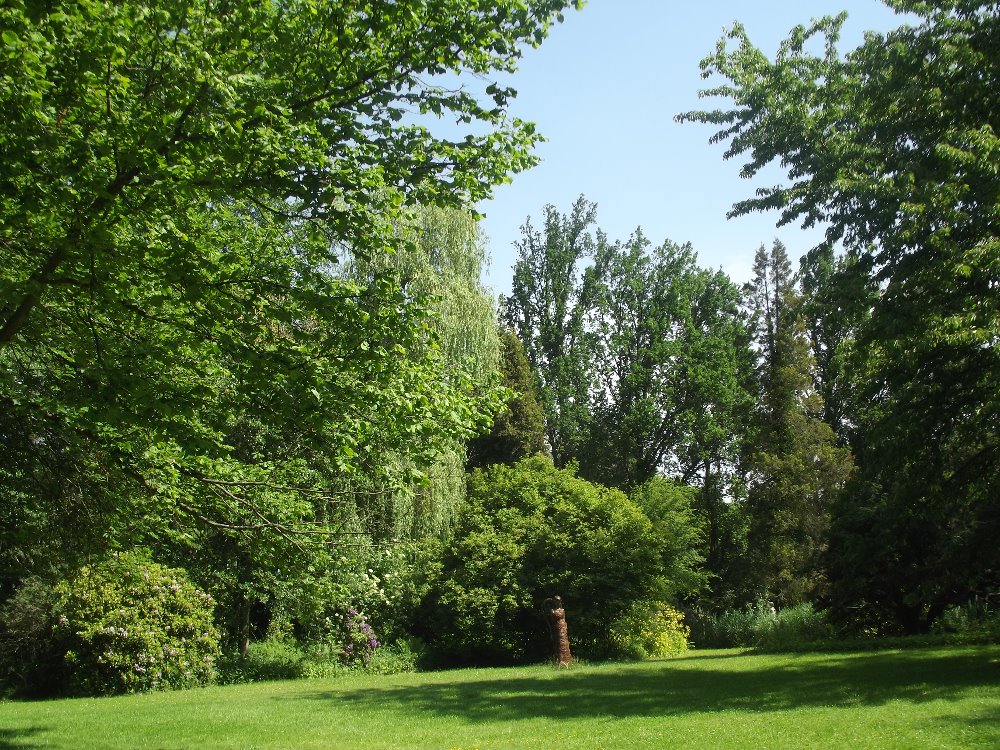 DSCF4337